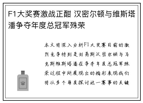 F1大奖赛激战正酣 汉密尔顿与维斯塔潘争夺年度总冠军殊荣