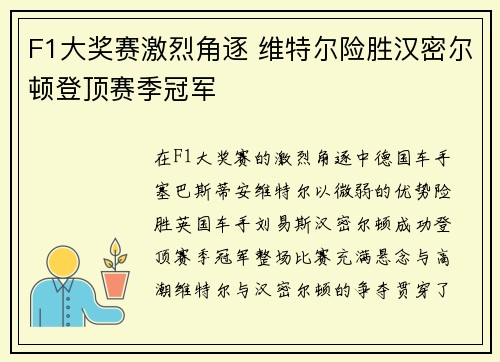 F1大奖赛激烈角逐 维特尔险胜汉密尔顿登顶赛季冠军